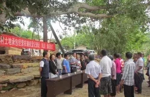 最新自强村回迁问题，家的温暖与归途的趣事揭秘