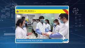 仪校最新招聘启事