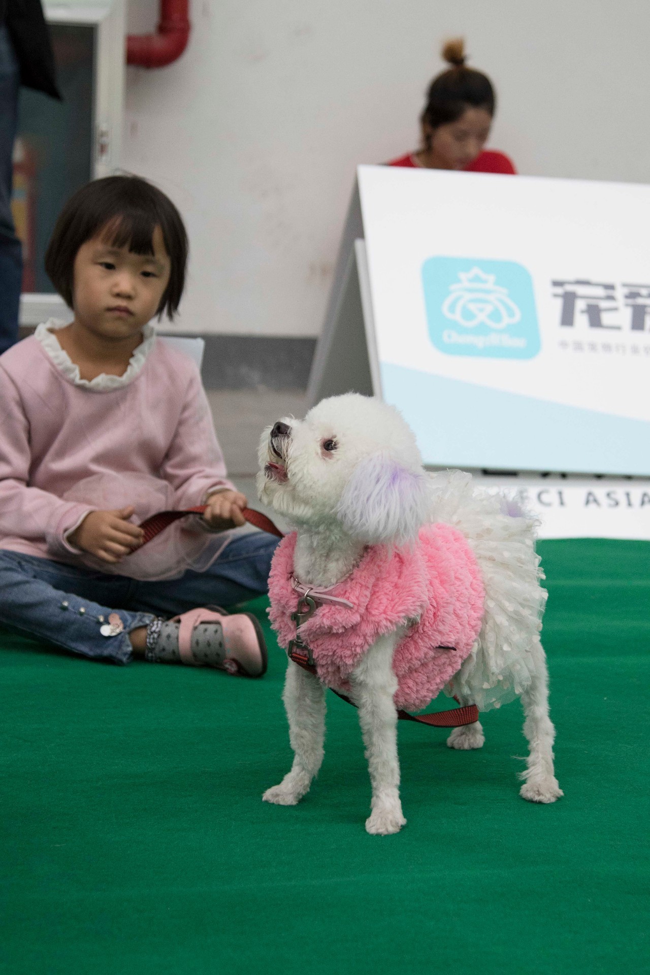 哈狗义乌版最新攻略，详细步骤指南