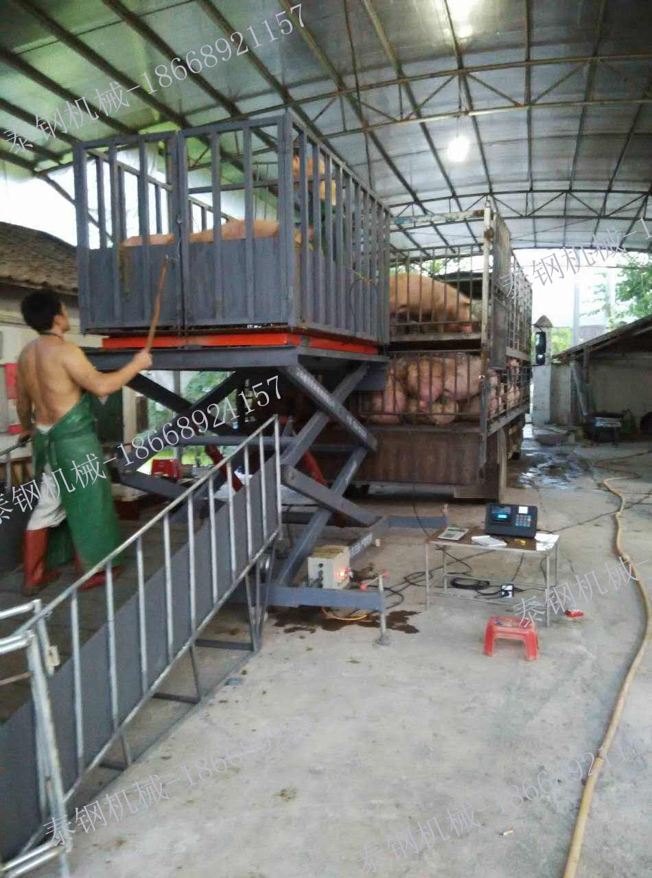 高效养殖新体验，最新自制上猪台助你轻松养猪🐖🏠