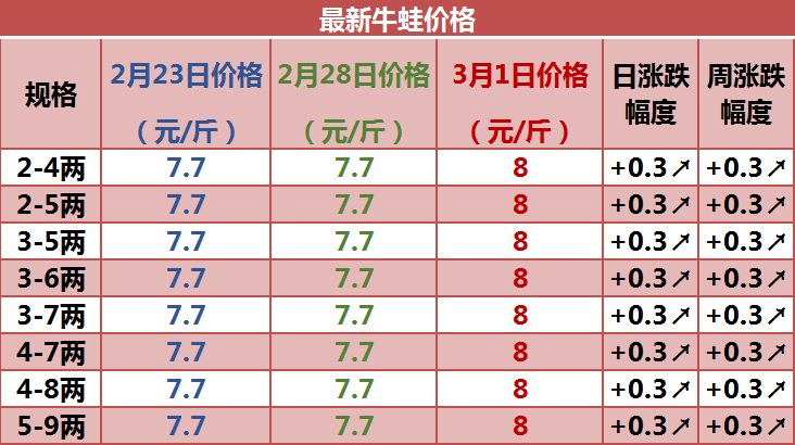 最新牛蛙收购价揭秘，小巷美食探险之旅开启