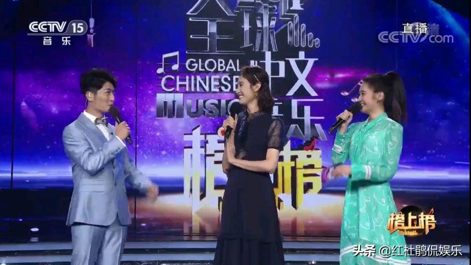 杨帆比赛直播，破浪前行的体育巨星动态