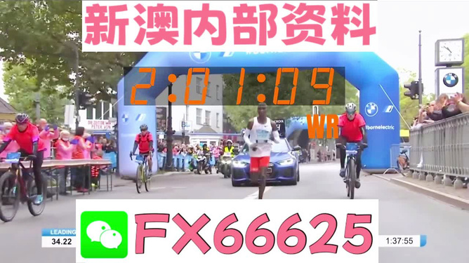 2024新澳资料免费大全,精准分析实践_VAN9.677动感版