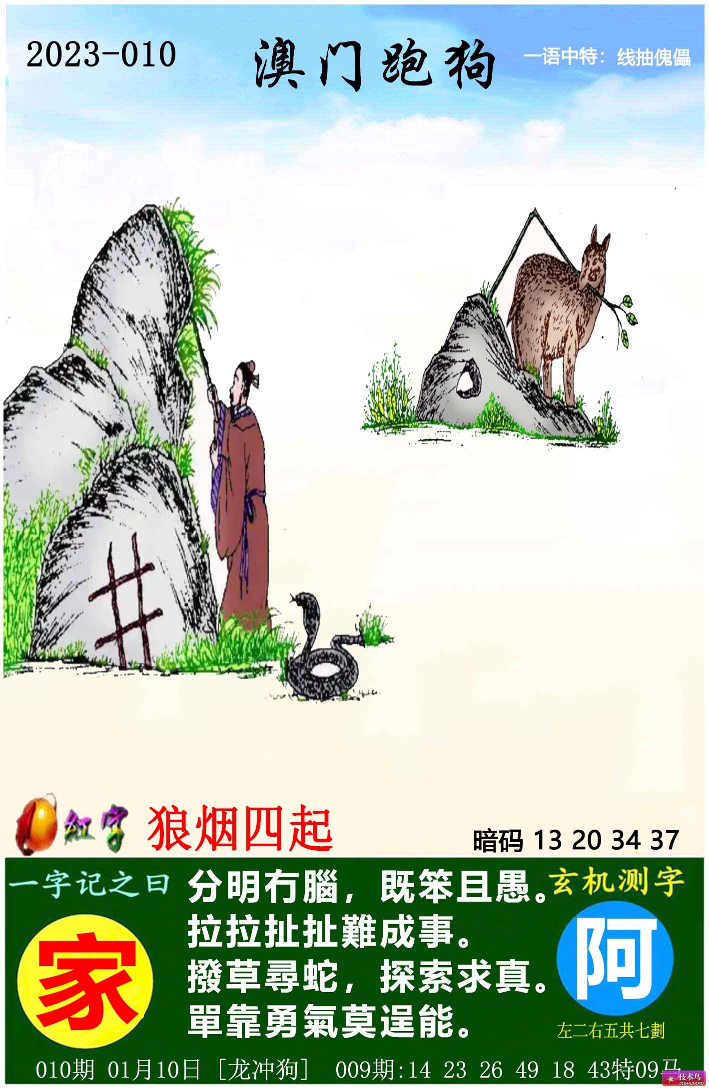 跑狗图2024年图库大全,具象化表达解说_魔力版39.947