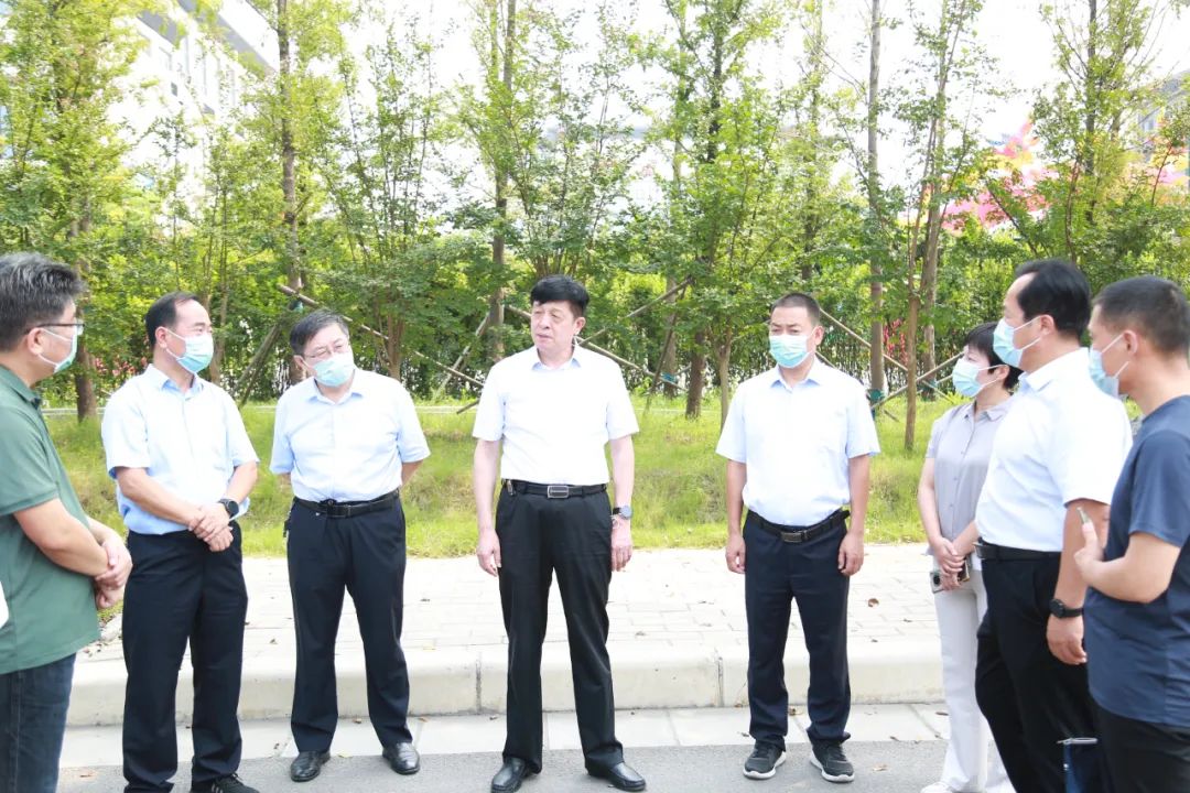 揭秘桂勇翔最新动态，闪耀时刻展现无限魅力