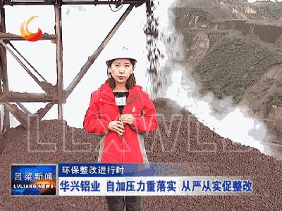 铝业最新动态，心灵与自然的美丽交汇之旅