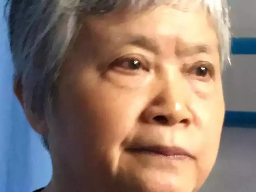 自贡近期病例分析与概述