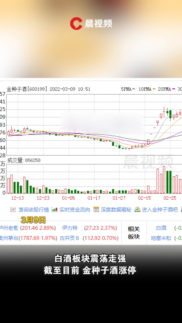 金种子酒股票动态更新，机遇与挑战下的自我超越之路