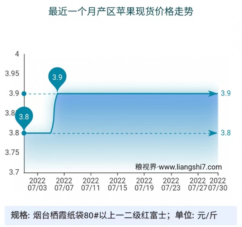 全国苹果行情，一段友情的温馨陪伴之旅