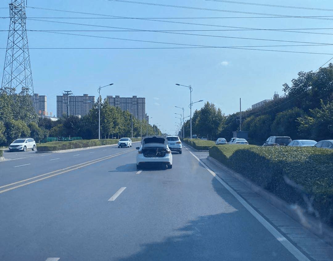 中牟路最新探寻之旅，自然美景的沉浸式体验