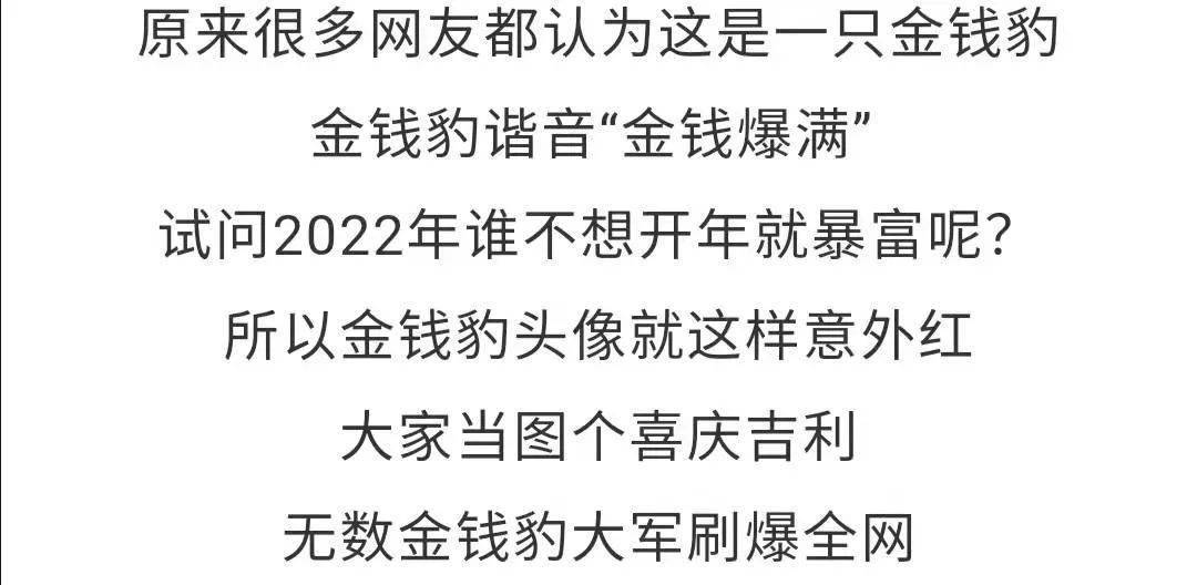 最新讨钱妙语，巧妙应对欠款问题的策略智慧