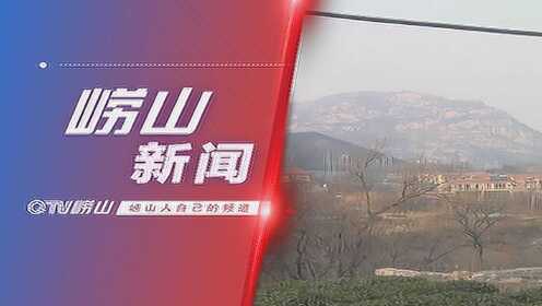 崂山最新回应，山间趣事与友情绽放的旅程