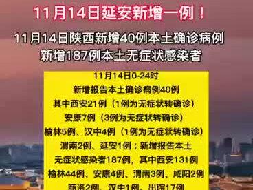 延安最新疫情动态及其观点论述