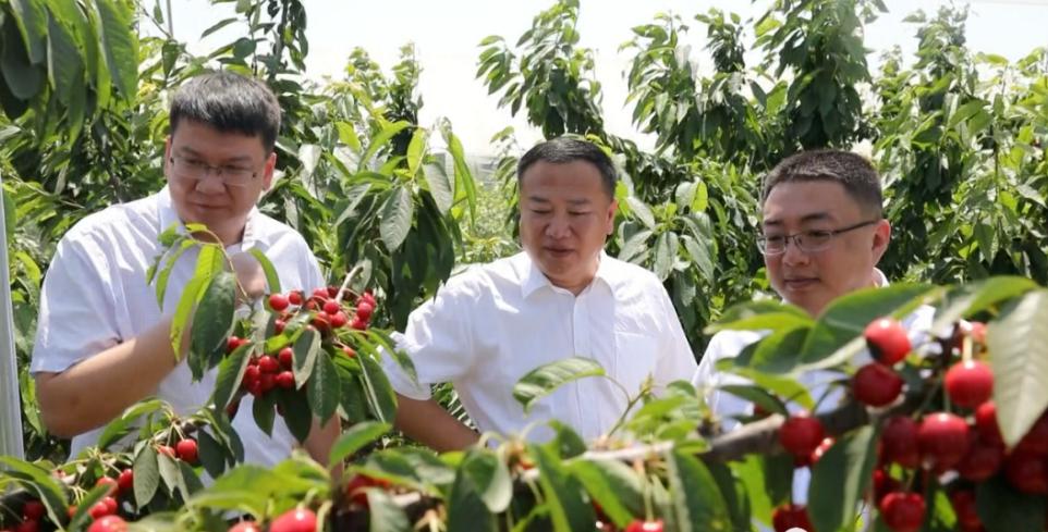 郓城疫情最新动态，小城温情日常