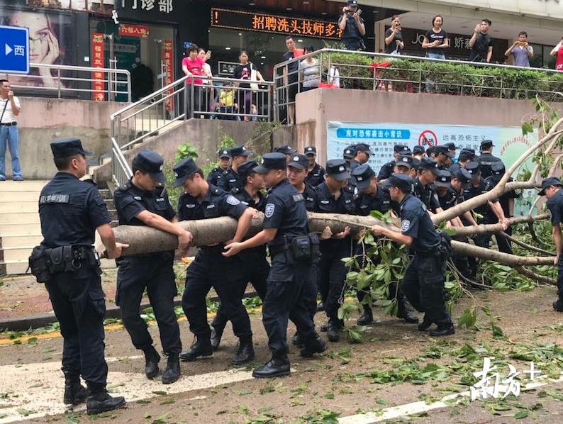 最新锯树机，变化、学习与自信的力量推动创新前行