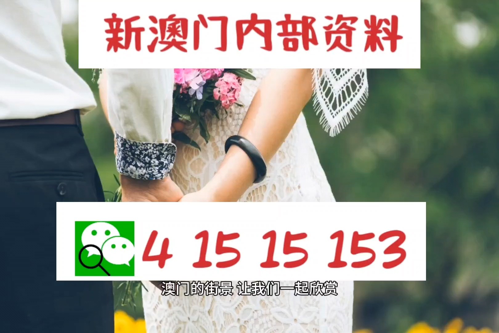 2024新澳门正版免费资料,解析解释说法_随机版68.458