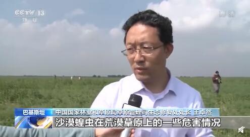 应对蝗虫入侵的最新通知与步骤指南