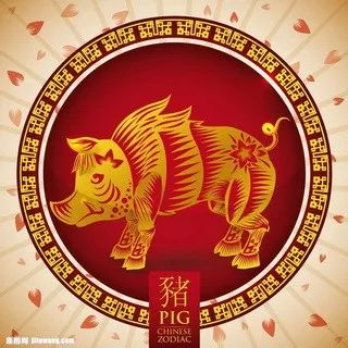 摇钱树四肖八码期期三码必中,实地观察数据设计_强劲版97.783